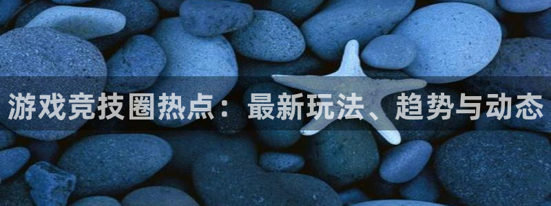 辉达娱乐娱乐