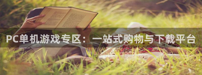 辉达娱乐什么意思：PC单机游戏专区：一站式购物与下载平台
