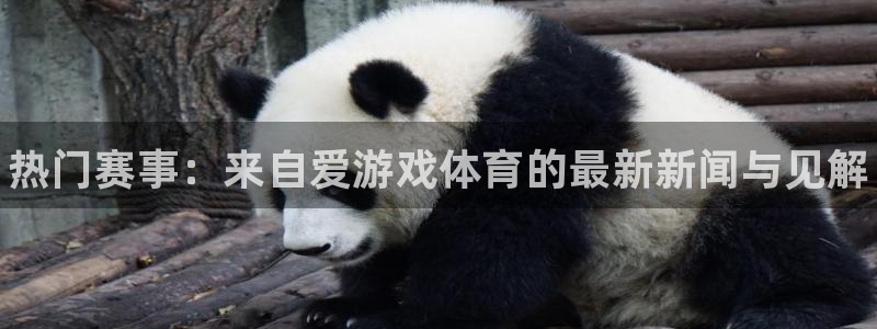 辉达娱乐在线登录：热门赛事：来自爱游戏体育的最新新闻与见解