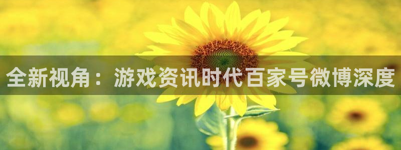 辉达娱乐的意思