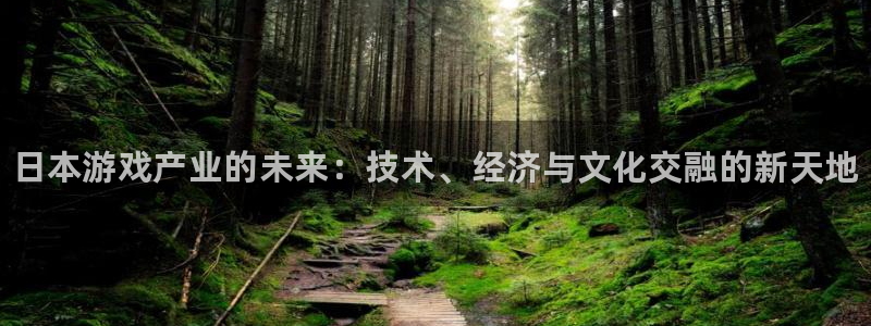 辉达娱乐官网：日本游戏产业的未来：技术、经济与文化交融的新天