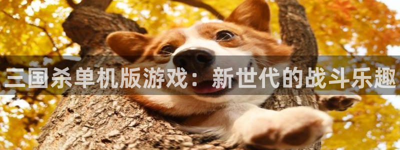 辉达娱乐网页版地址：三国杀单机版游戏：新世代的战斗乐趣