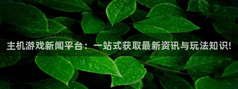 辉达娱乐登录地址：主机游戏新闻平台：一站式获取最新资讯与玩法