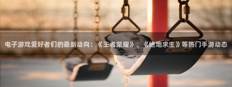 辉达娱乐平台官网入口：电子游戏爱好者们的最新动向：《王者荣耀