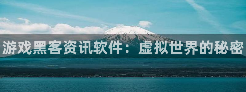 辉达娱乐4主管：游戏黑客资讯软件：虚拟世界的秘密