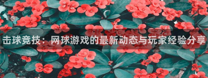 手机辉达娱乐下载安装：击球竞技：网球游戏的最新动态与玩家经验