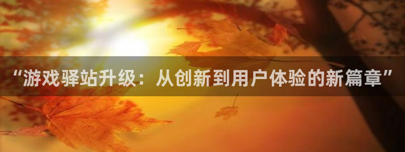 辉达娱乐注册官方登录app：“游戏驿站升级：从创新到用户体验