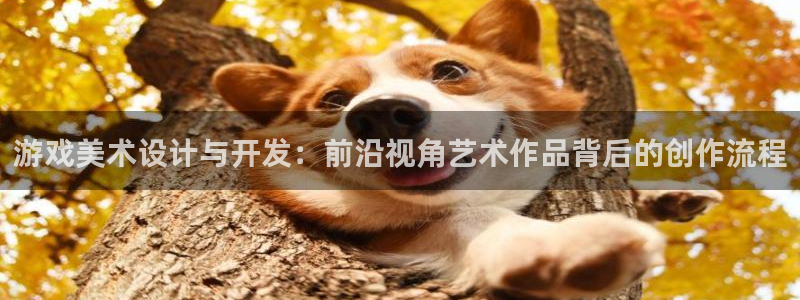 辉达娱乐测速：游戏美术设计与开发：前沿视角艺术作品背后的创作