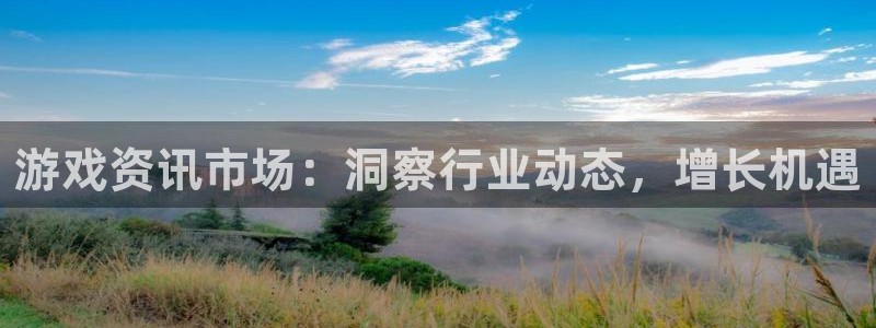 辉达娱乐app下载地址：游戏资讯市场：洞察行业动态，增长机遇