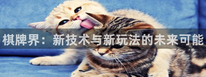 辉达娱乐注册服务条款：棋牌界：新技术与新玩法的未来可能