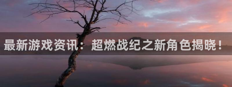 辉达娱乐登陆测速：最新游戏资讯：超燃战纪之新角色揭晓！