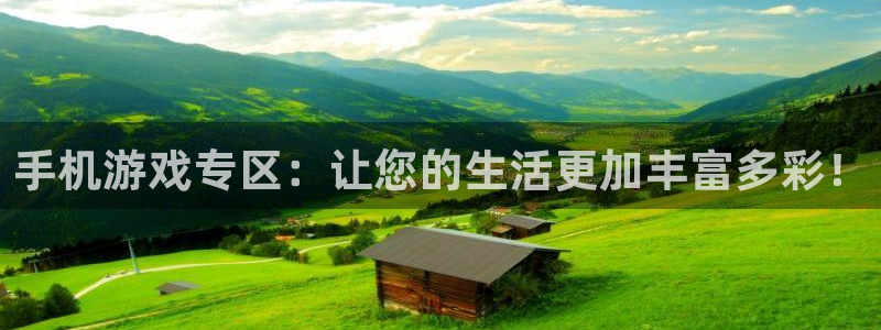 辉达娱乐咨询：手机游戏专区：让您的生活更加丰富多彩！
